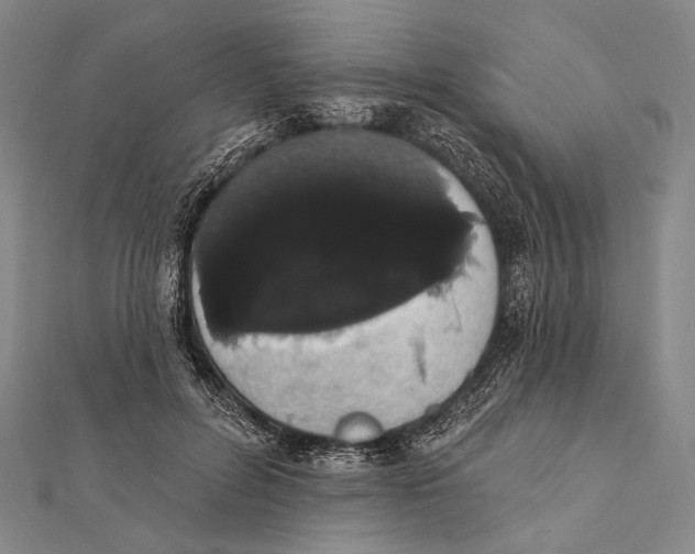 X0000112000600200908311116