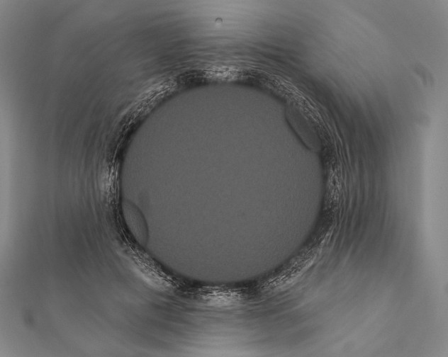 X0000112000601200908311116