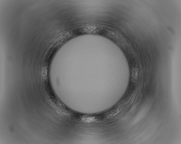 X0000112000602200908311116