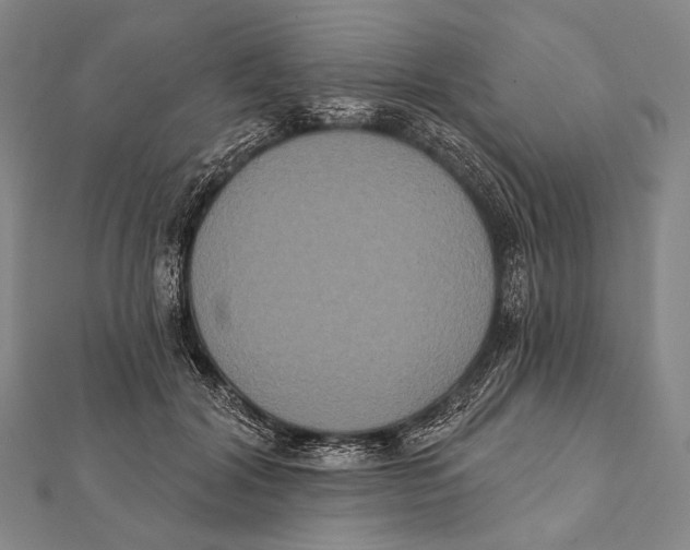 X0000112000604200908311116