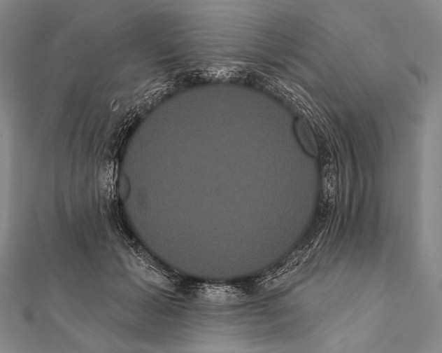 X0000112000605200908311116