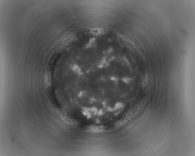 X0000112000606200908311116