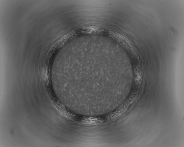 X0000112000607200908311116