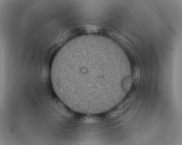 X0000112000608200908311116