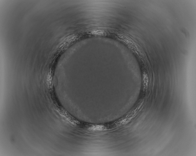 X0000112000609200908311115