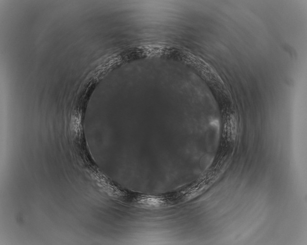 X0000112000610200908311115