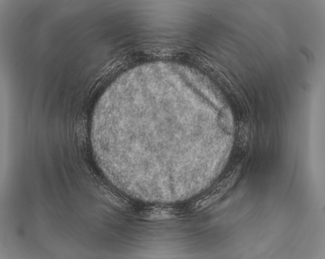 X0000112000612200908311115