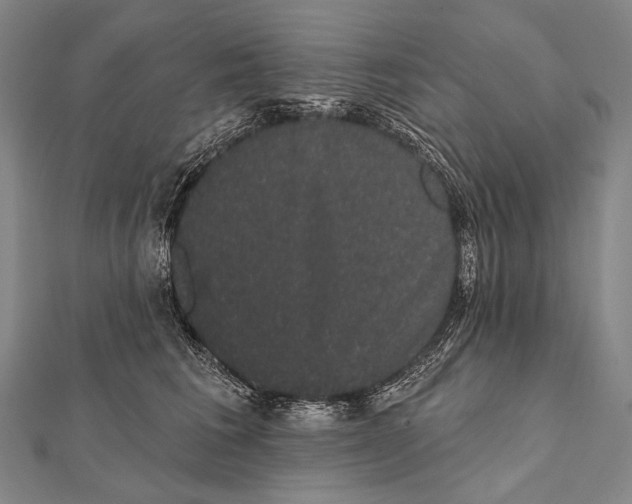 X0000112000613200908311115