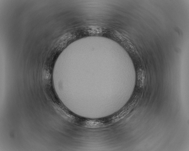 X0000112000614200908311115