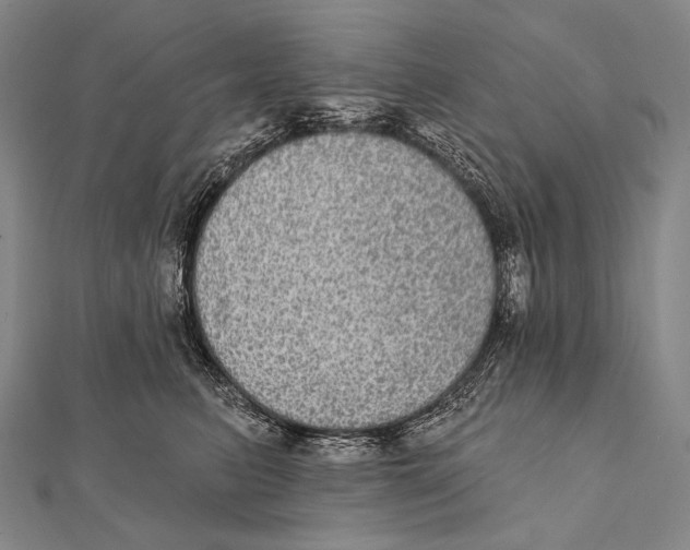 X0000112000615200908311115