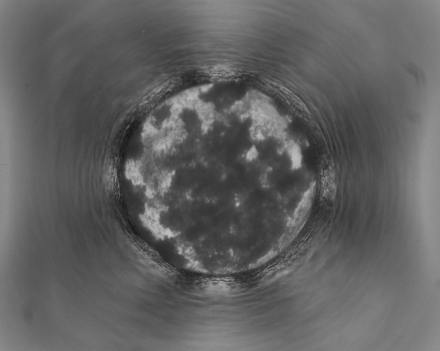 X0000112000618200908311115