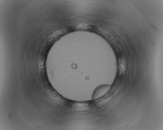 X0000112000619200908311115