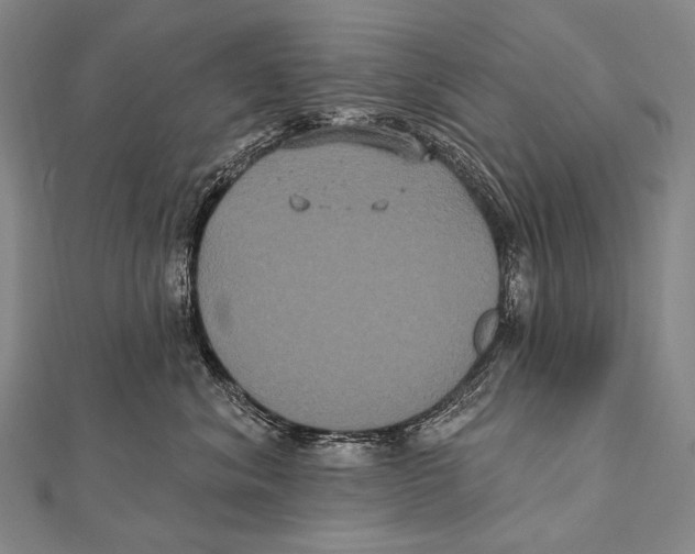 X0000112000620200908311115