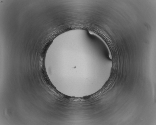 X0000112000621200908311115