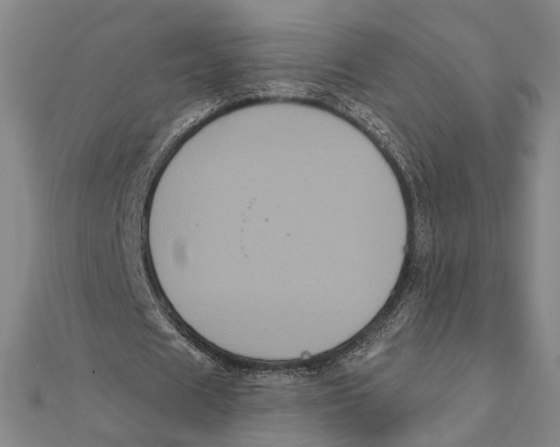 X0000112000625200908311115