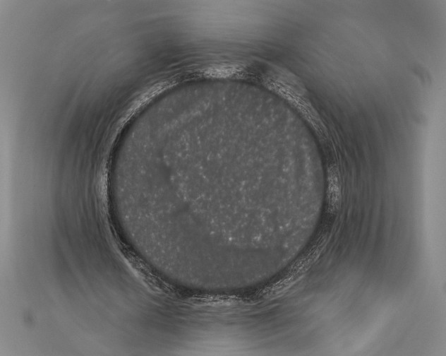 X0000112000626200908311115