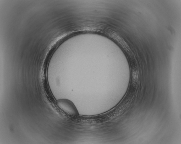 X0000112000628200908311115