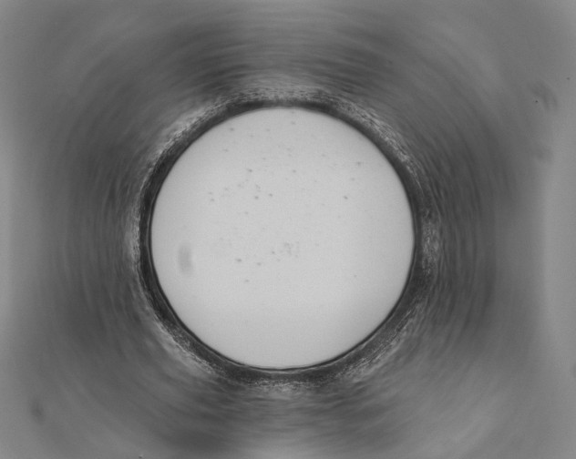 X0000112000629200908311115