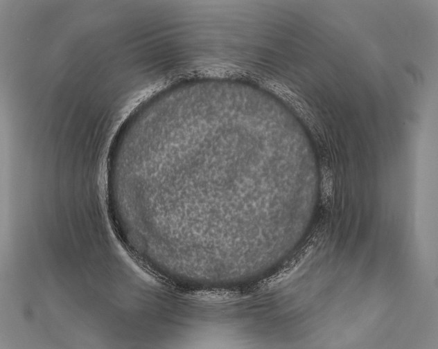 X0000112000630200908311115