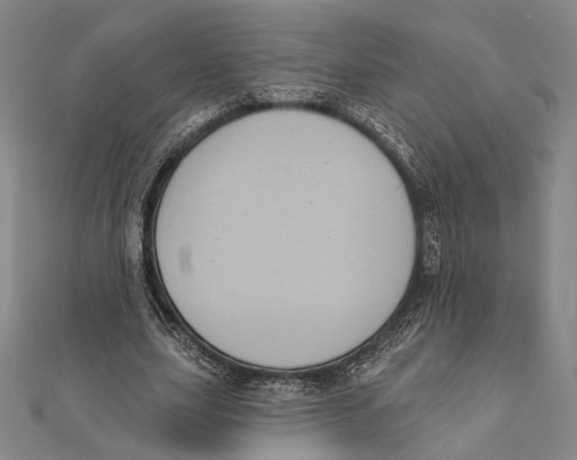 X0000112000631200908311115