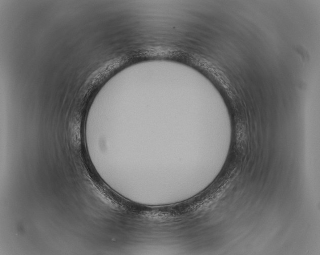 X0000112000633200908311115