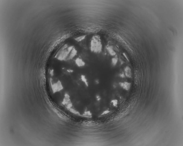 X0000112000634200908311115