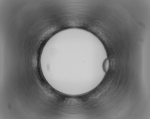 X0000112000635200908311115