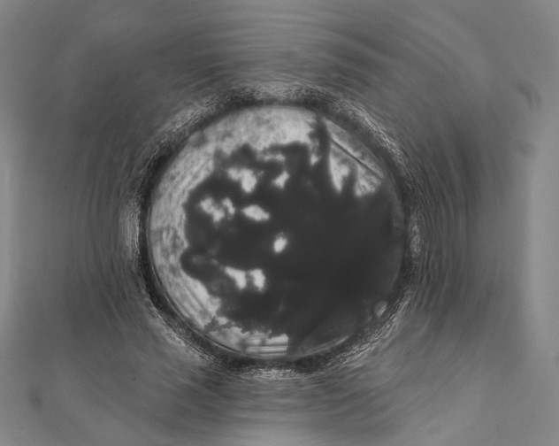 X0000112000637200908311115