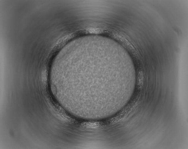 X0000112000639200908311115