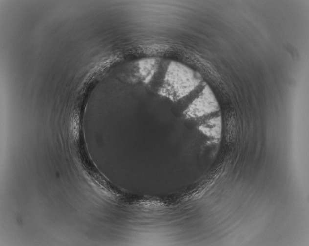 X0000112000644200908311115