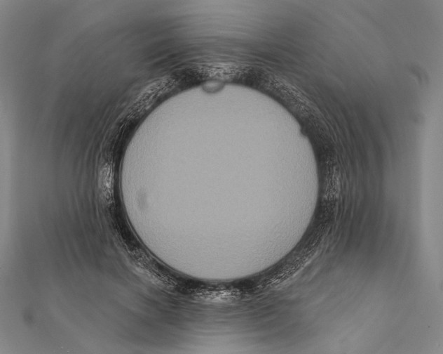 X0000112000646200908311115