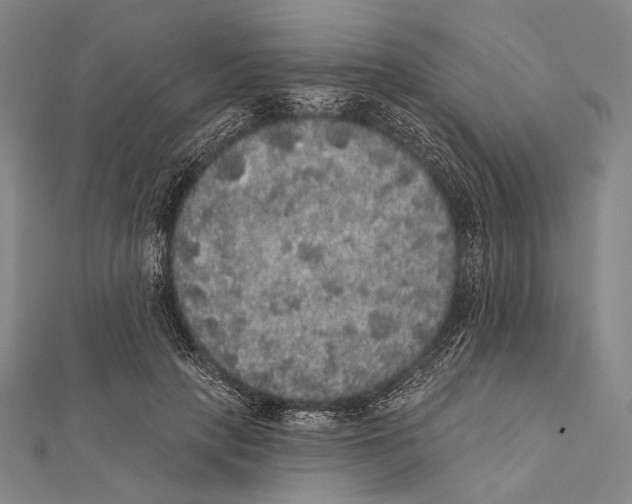 X0000112000649200908311115