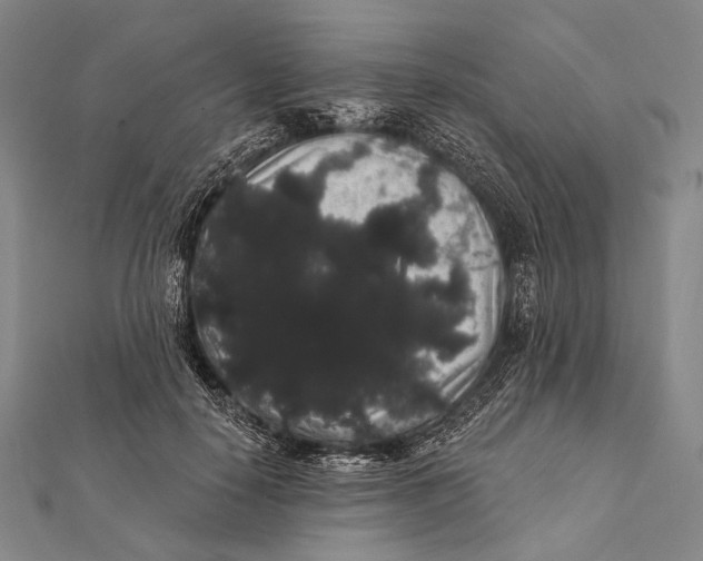 X0000112000650200908311115