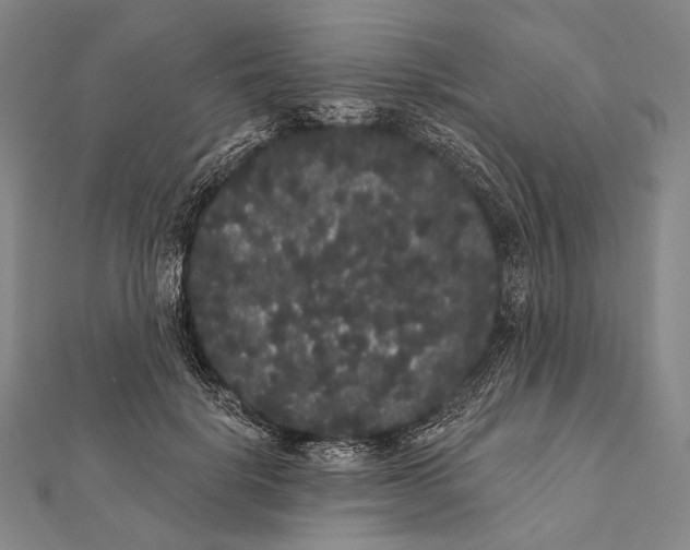 X0000112000652200908311115