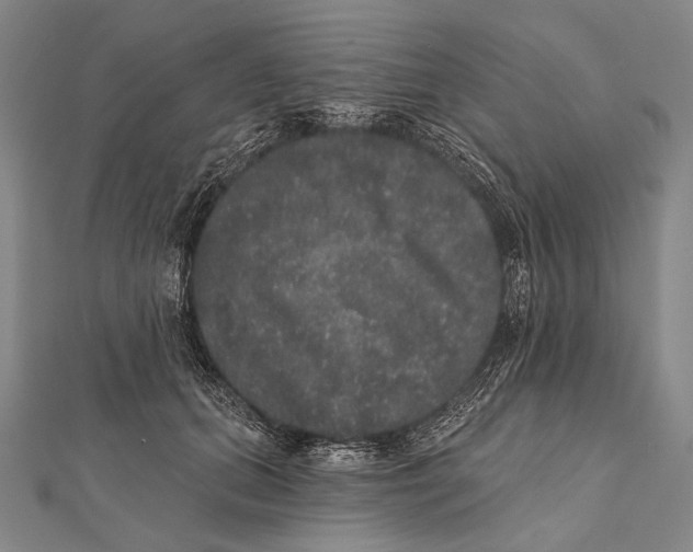 X0000112000655200908311115