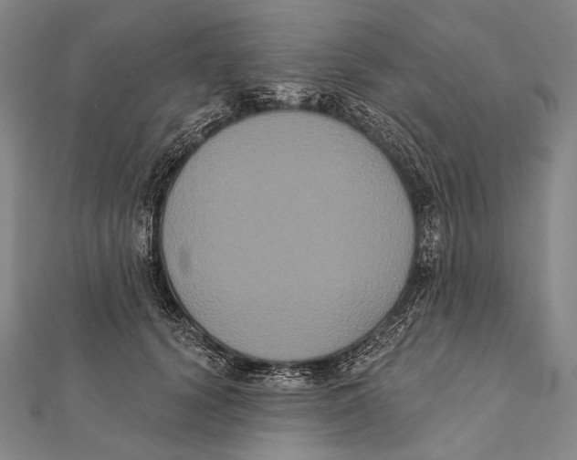 X0000112000656200908311115