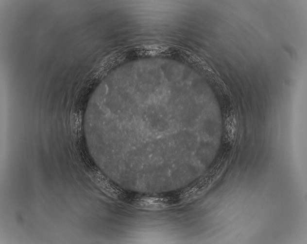 X0000112000657200908311115