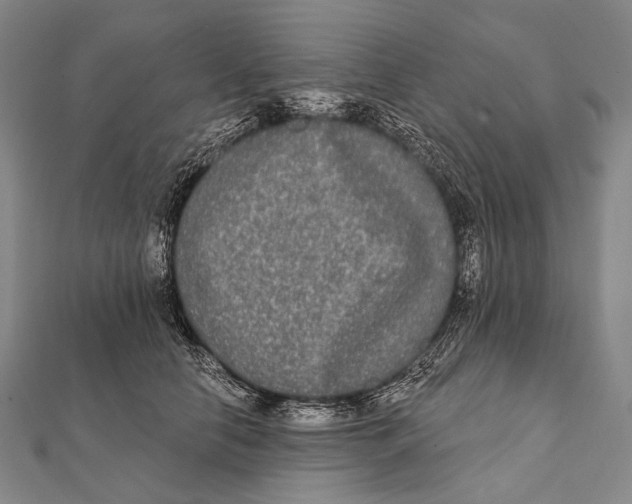 X0000112000658200908311115