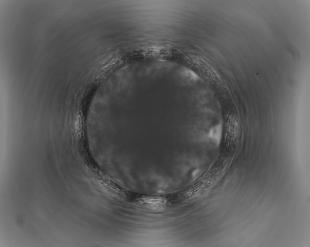 X0000112000659200908311115