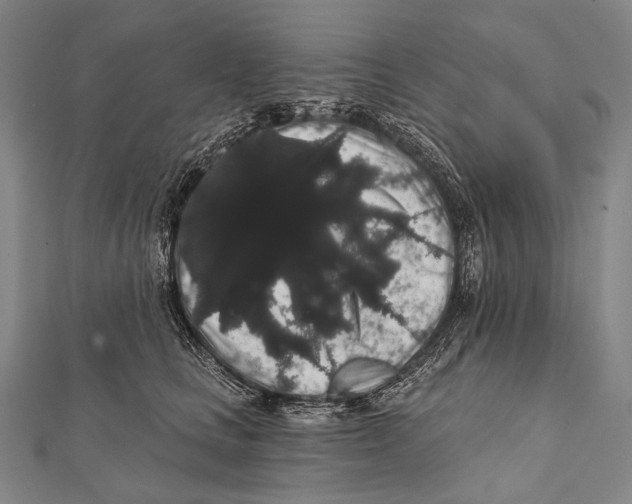 X0000112000661200908311115