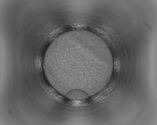 X0000112000662200908311115