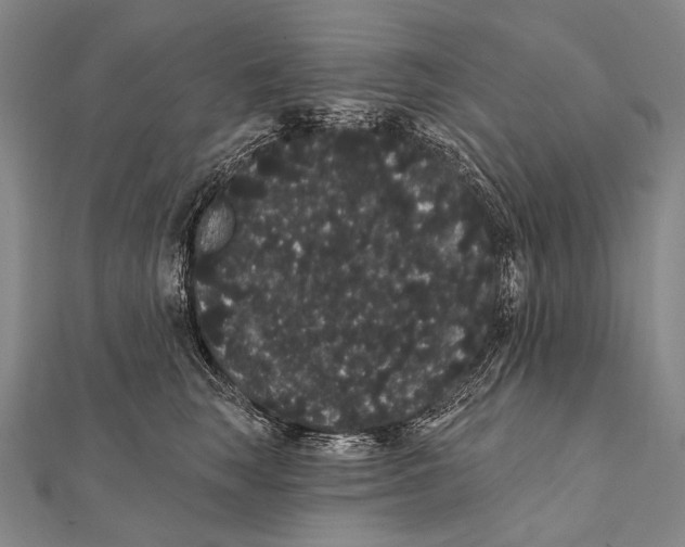 X0000112000663200908311115