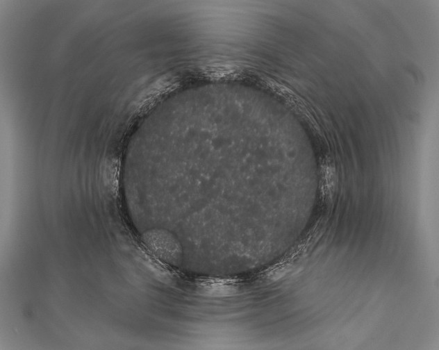 X0000112000664200908311115