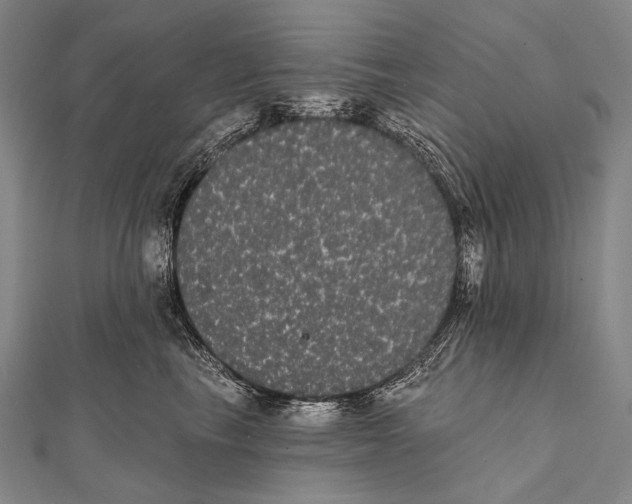 X0000112000665200908311115