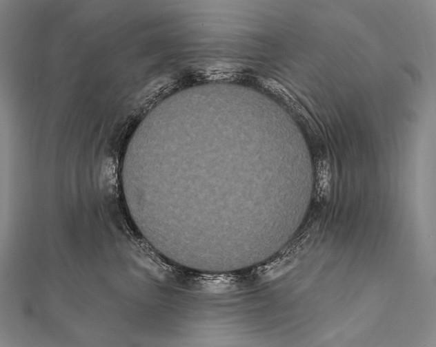 X0000112000667200908311115