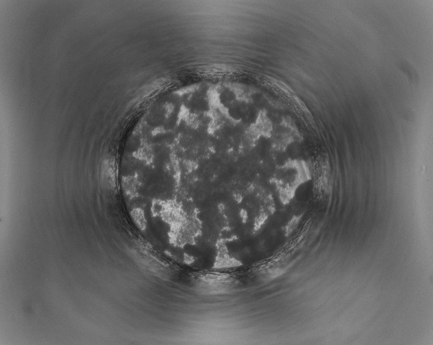 X0000112000669200908311115