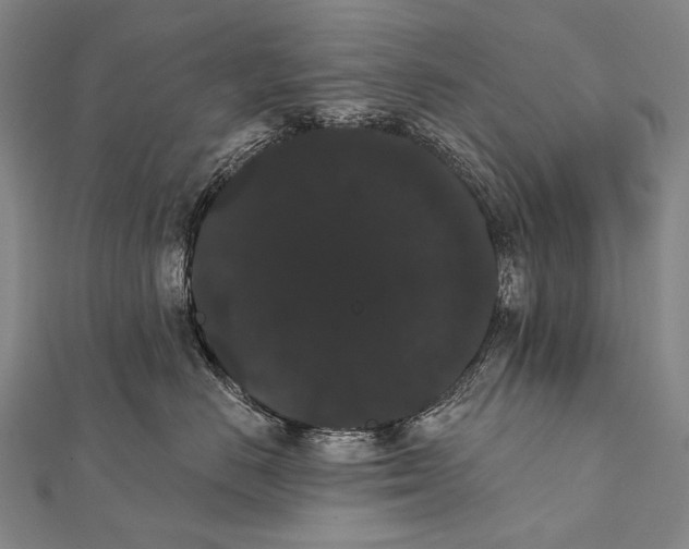 X0000112000670200908311115