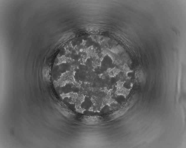 X0000112000671200908311115