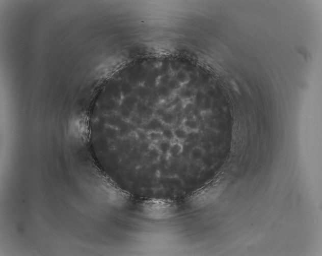 X0000112000672200908311115