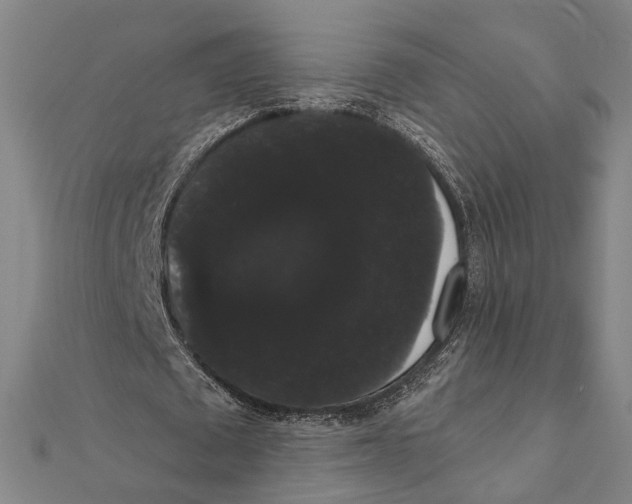 X0000112000673200908311115